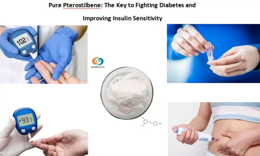Pure Pterostilbene: The Key to Fighting Diabetes and Improving Insulin Sensitivity